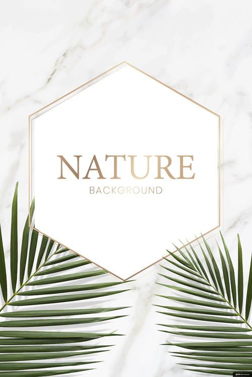 《葉語(yǔ)情緣》——邀您共赴熱帶花園婚禮盛宴